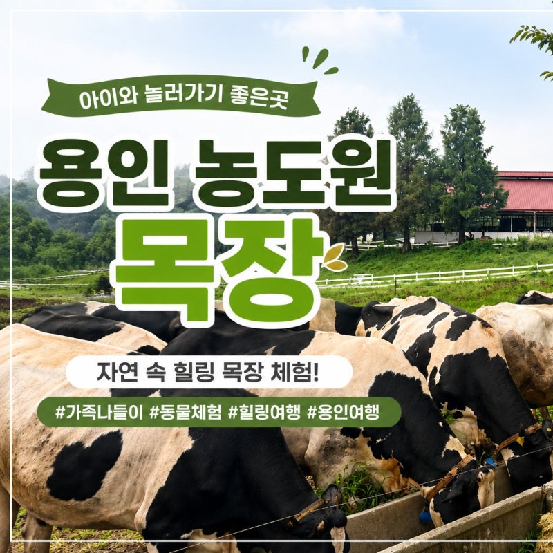 용인 농도원목장 19개월 아기랑 아이와 가볼 만한 곳 낙농체험 후기