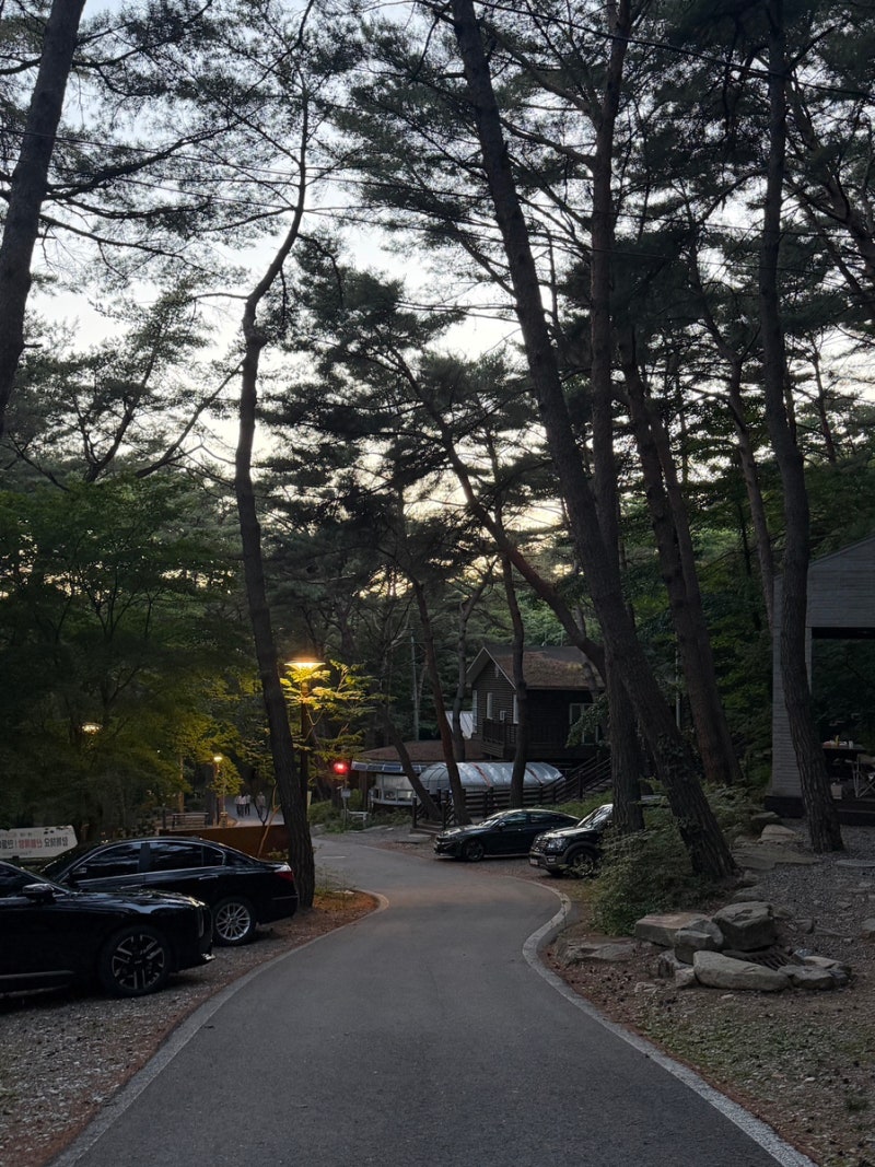[충북/괴산] 조령산 자연휴양림 추천, 무궁화관 4인실 후기