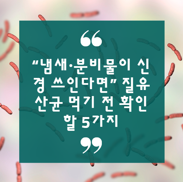 “냄새·분비물이 신경 쓰인다면” 질유산균 먹기 전 확인할 5가지