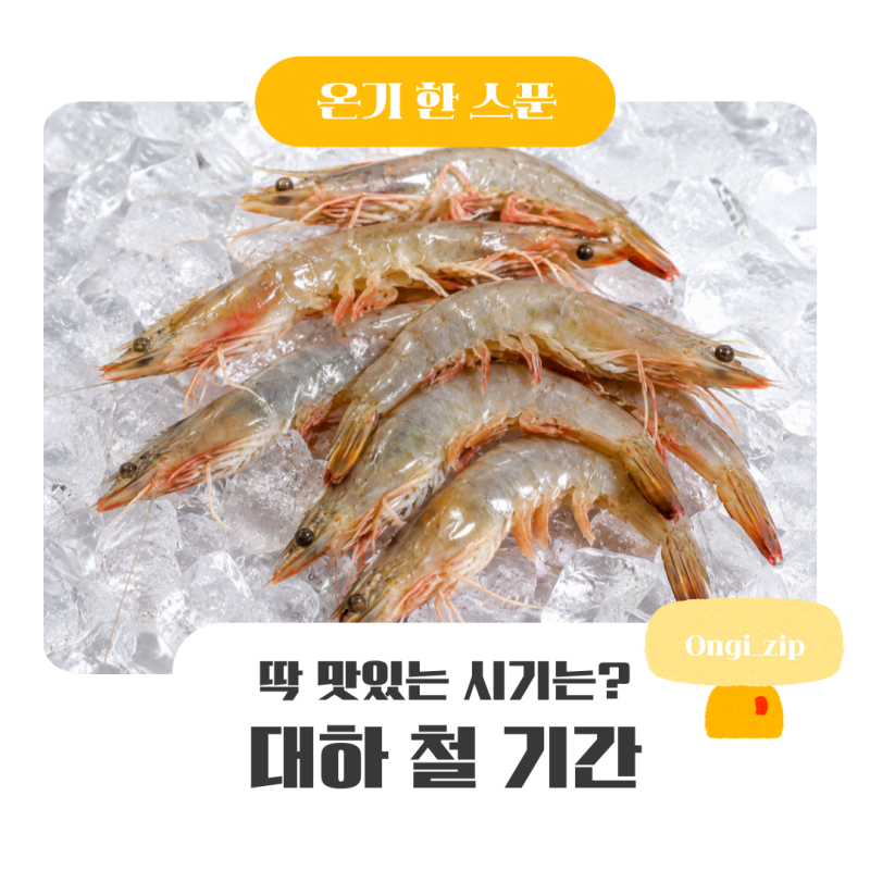대하 철 기간 언제일까 9월 10월 11월 제철 시기 정리