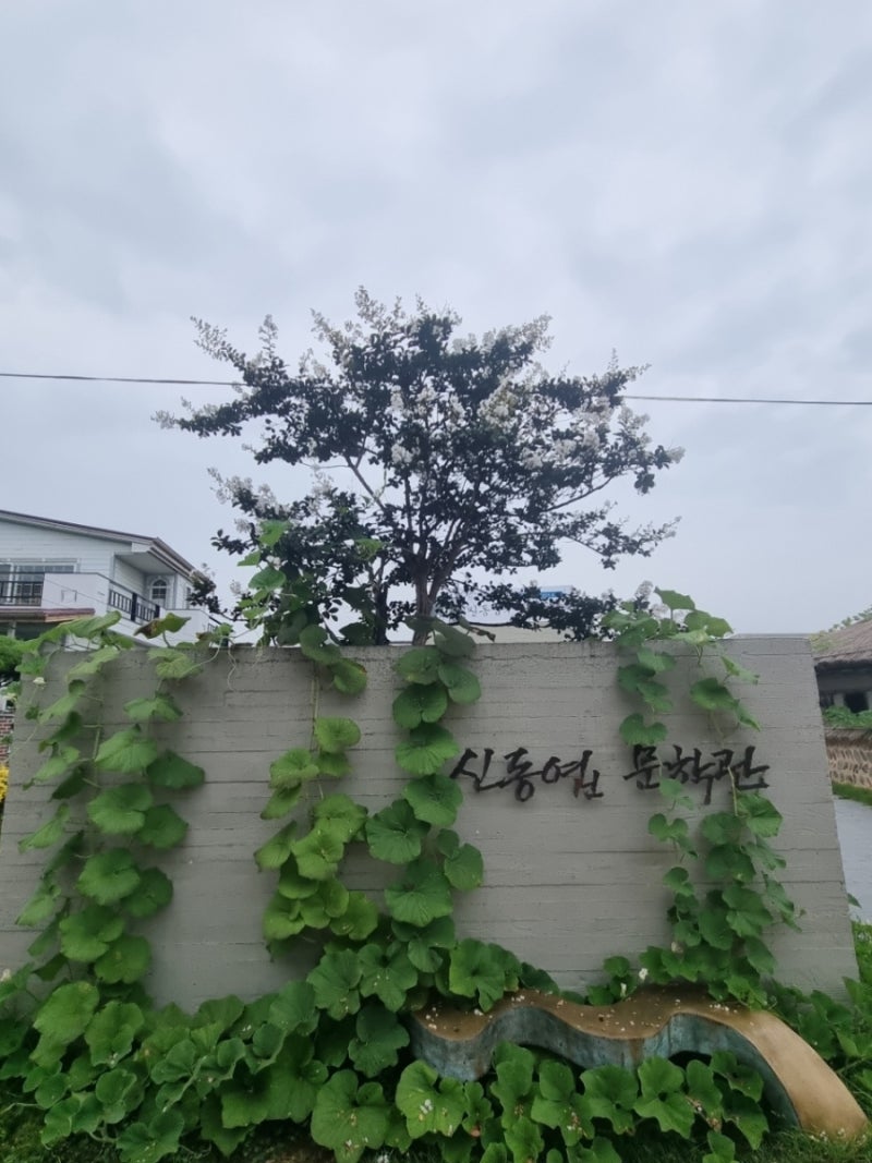 44. 부여 신동엽문학관