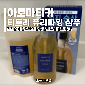 올리브영 샴푸 추천 아로마티카 티트리 퓨리파잉 지성 샴푸