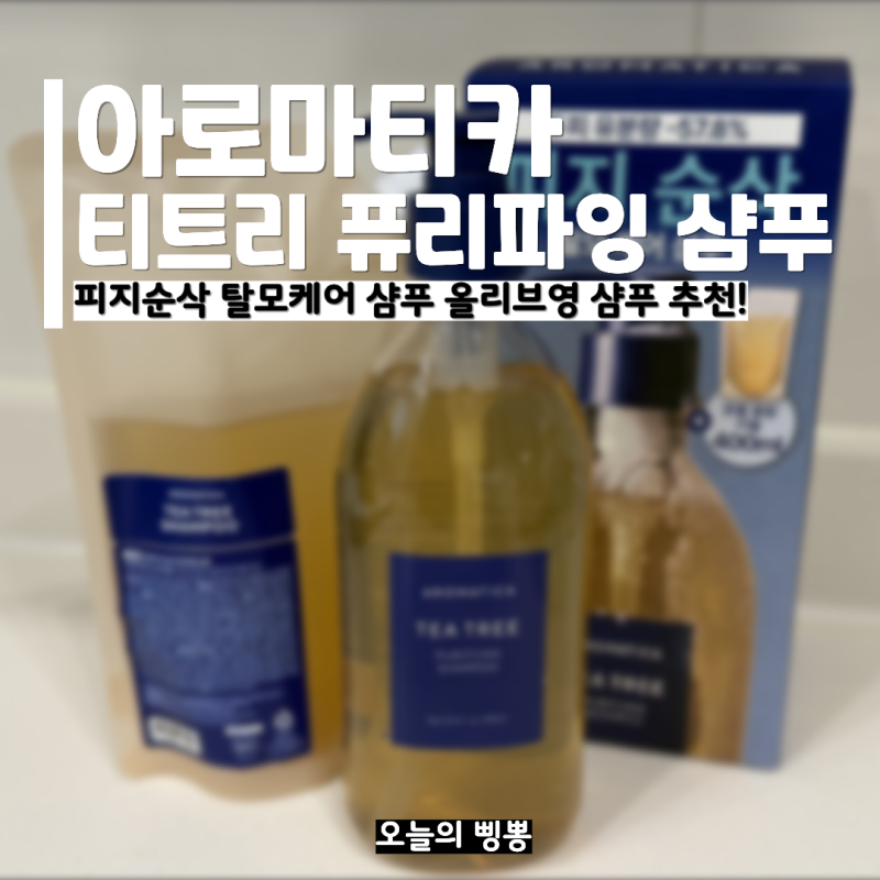 올리브영 샴푸 추천 아로마티카 티트리 퓨리파잉 지성 샴푸