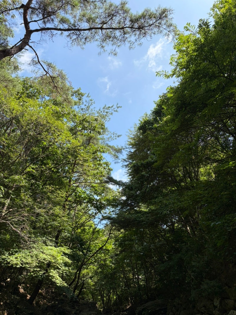 대전 근교 계곡 : 폭염 주의보 뚫고 다녀온 대둔산 수락계곡! 주차, 편의시설 완벽 후기