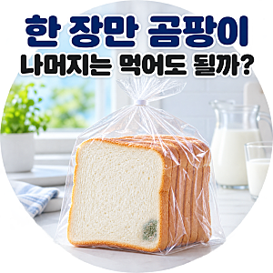 식빵 한 장에 곰팡이가 생겼다면 나머지는 먹어도 될까?