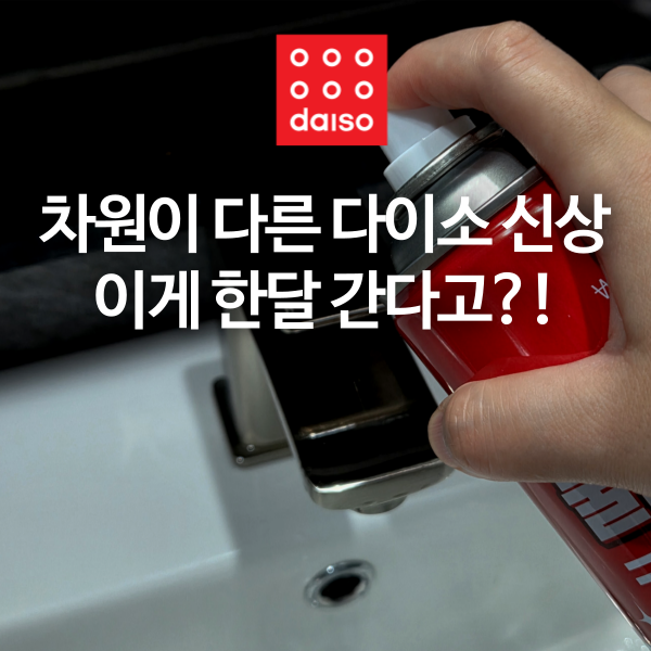차원이 다른 다이소 신상템 이게 진짜 한 달 간다고?!