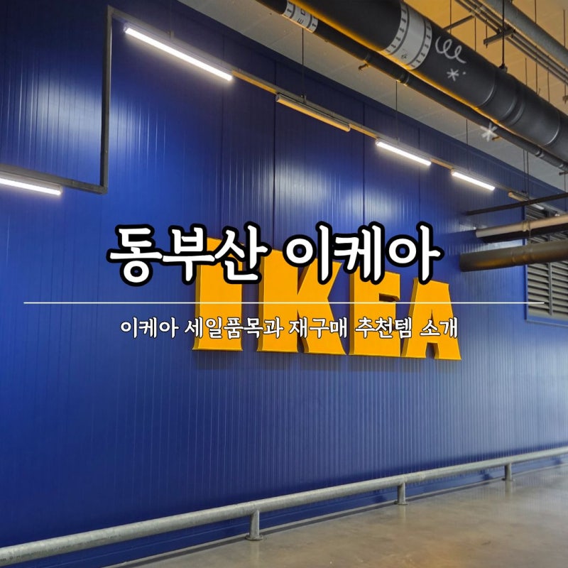 부산 기장 실내 가볼만한 곳 동부산 이케아 세일품목과 재구매 품목까지