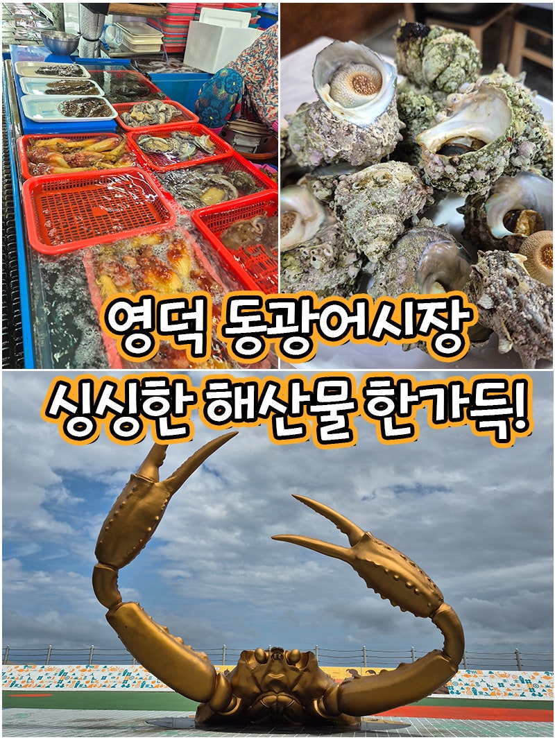 영덕 강구항 동광어시장｜해산물 대게 비교 가격 정리