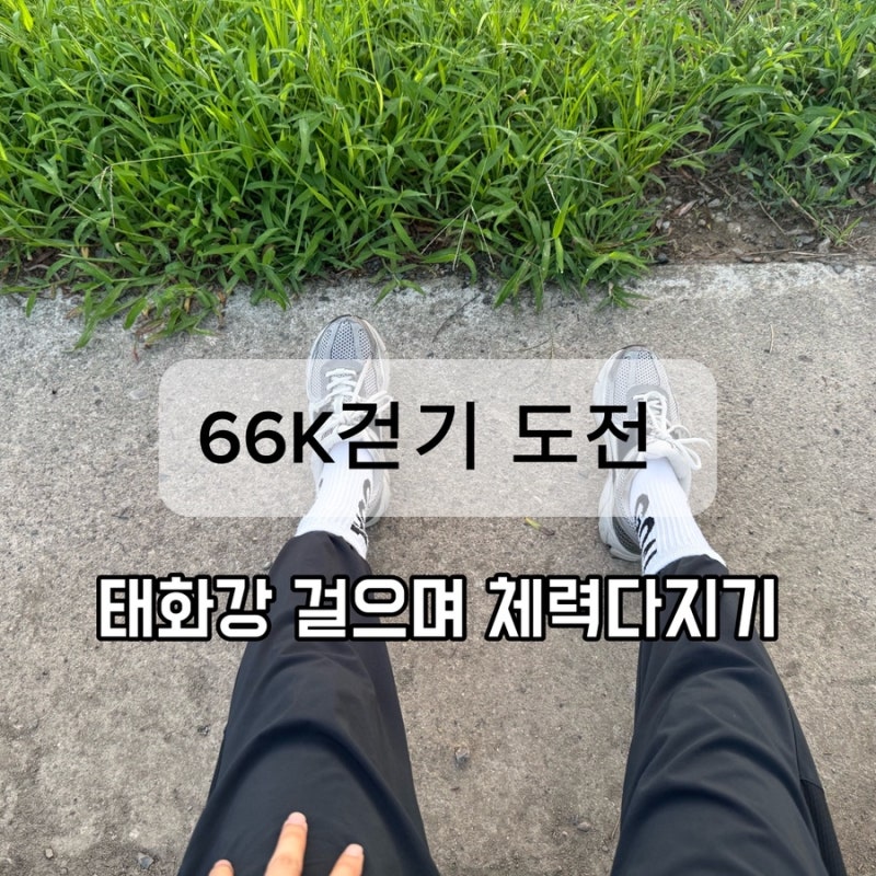 경주 66k 걷기 준비｜매일 태화강 걷기로 체력 만드는 중