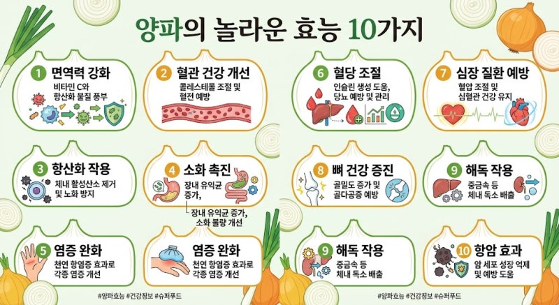 양파 어떤 효능이 있을까?