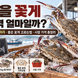 2026 가을 꽃게 가격 얼마일까? 1kg 몇 마리·시세·좋은 꽃게 고르는법 총정리