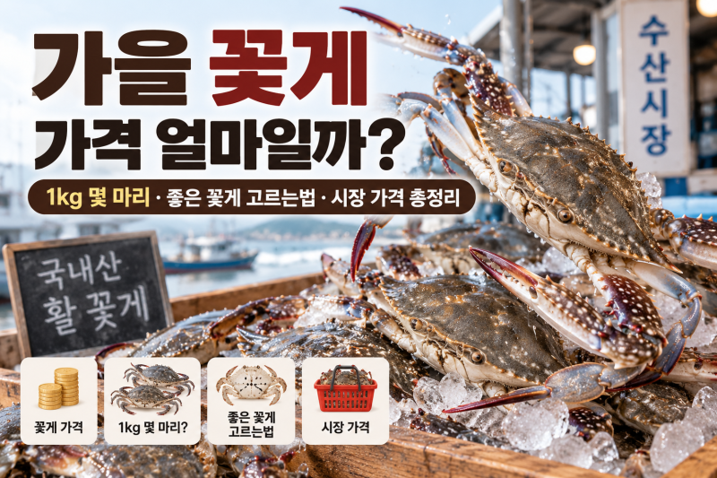 2026 가을 꽃게 가격 얼마일까? 1kg 몇 마리·시세·좋은 꽃게 고르는법 총정리
