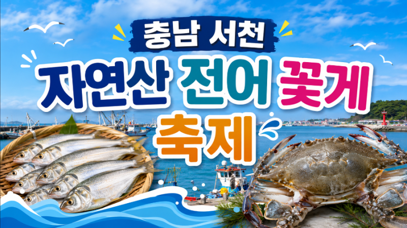충남 여행 서천 가볼만한곳 홍원항 수산시장 자연산 전어 꽃게 축제 시세정보