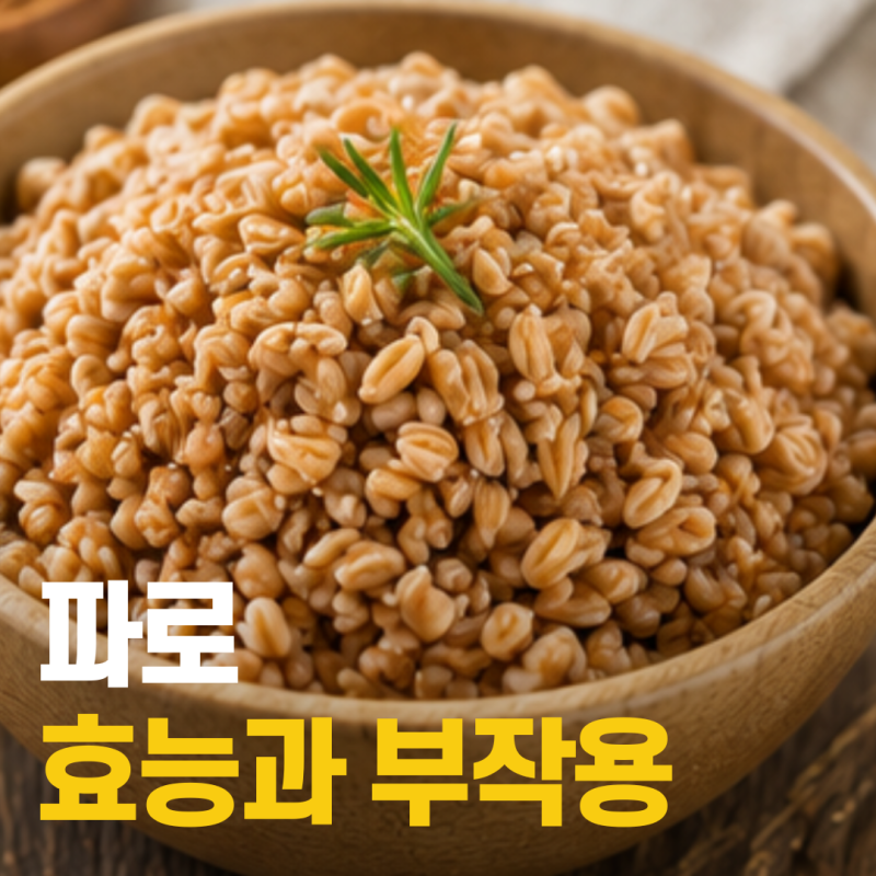 파로 효능과 부작용, 먹는법까지 한 번에 알아보기