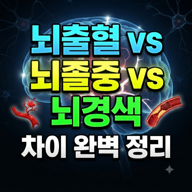 뇌출혈 vs 뇌졸중 vs 뇌경색 차이 완벽 정리