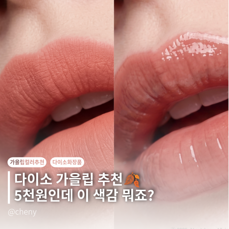 다이소 립 추천 가을립컬러추천 바이플라워 벨벳 립스틱 태그 듀이멜팅밤