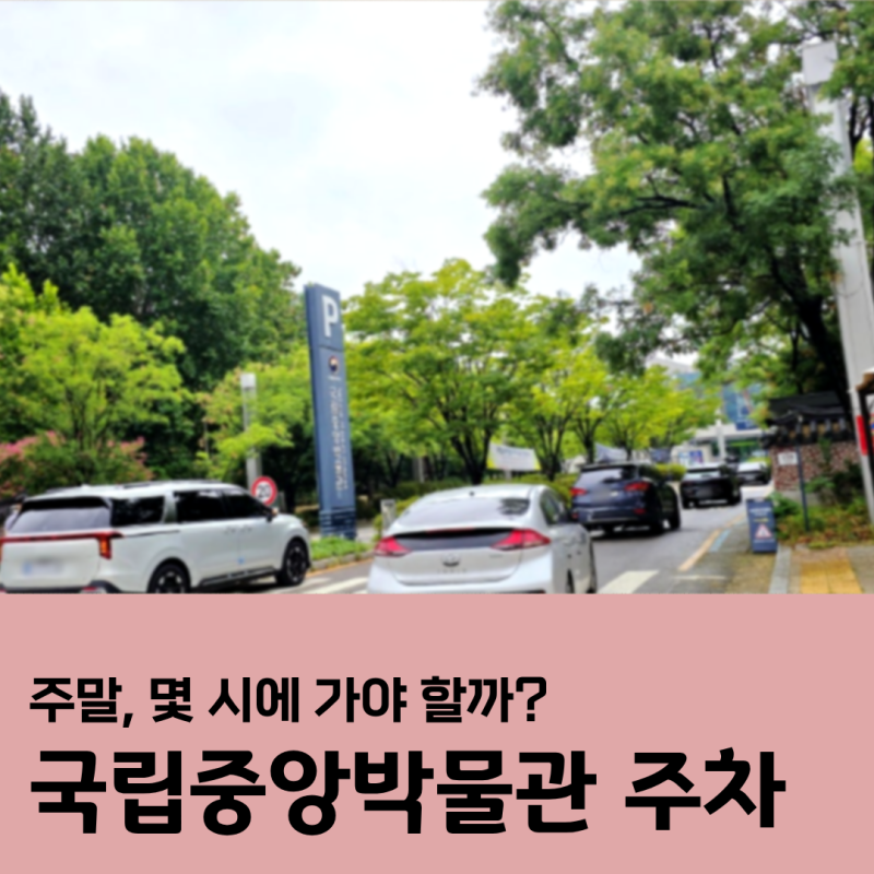 국립중앙박물관 주차, 주말 몇 시에 가야 할까? 요금·할인까지