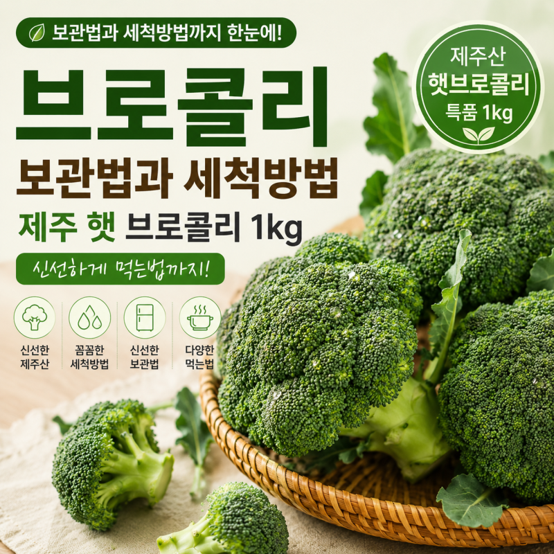브로콜리 보관법과 세척방법｜제주 햇 브로콜리 1kg 신선하게 먹는법