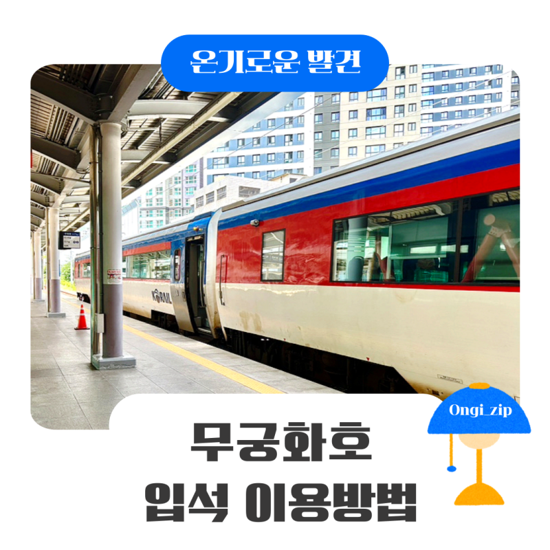 무궁화호 입석 이용방법 직접 타본 후기와 자리 꿀팁