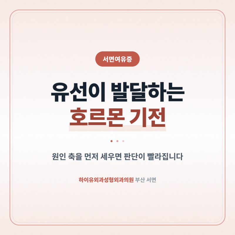 서면여유증 유선 조직이 발달하는 호르몬 기전