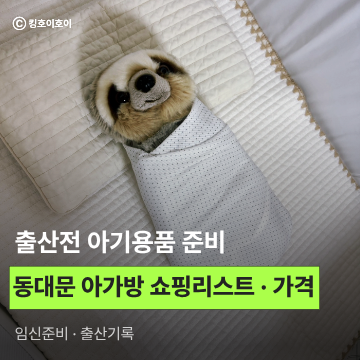동대문 아가방, 꼬마방 신생아용품 쇼핑리스트 (구매 품목별 상세 가격, 사이즈, 구매갯수)