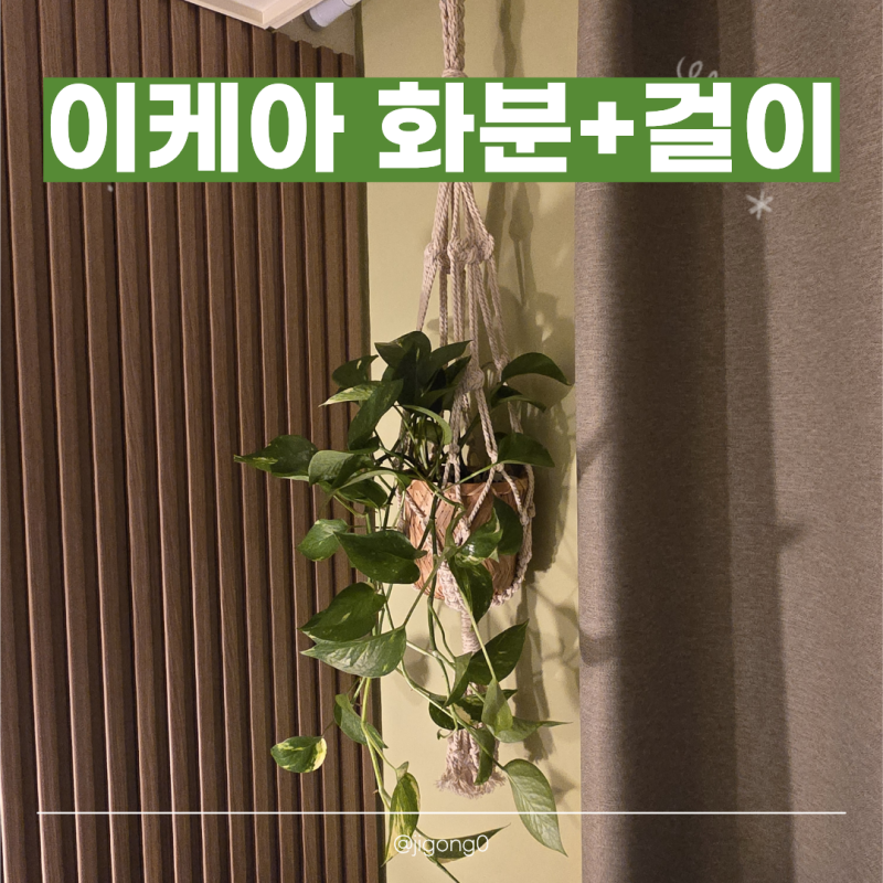 벽걸이 화분 추천 | 이케아 보타니스크 화분걸이와 클륀논 화분, 스킨답서스를 심은