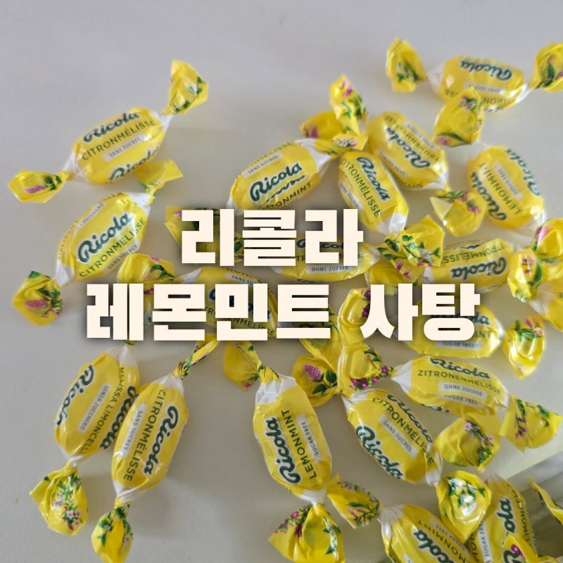 자꾸만 손이 가는 리콜라 레몬 민트 사탕 안먹은 사람 없게 해주세요