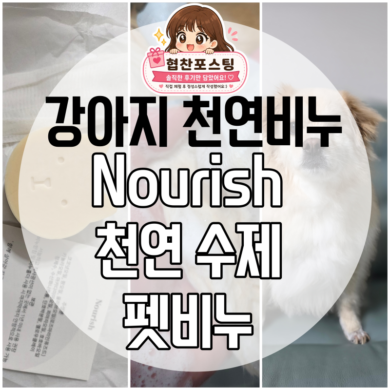 [강아지샴푸 추천] 천연비누로 간편하게 목욕하는 강아지샴푸바