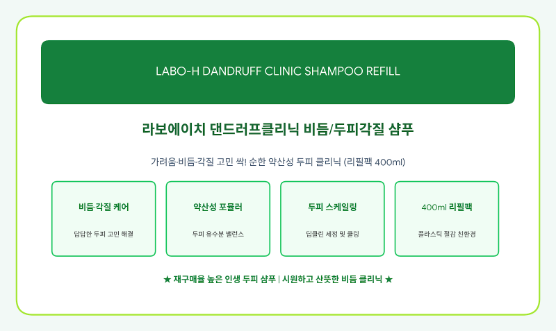 라보에이치 댄드러프클리닉 비듬 두피 각질 케어 약산성 샴푸 리필팩, 400ml, 1개