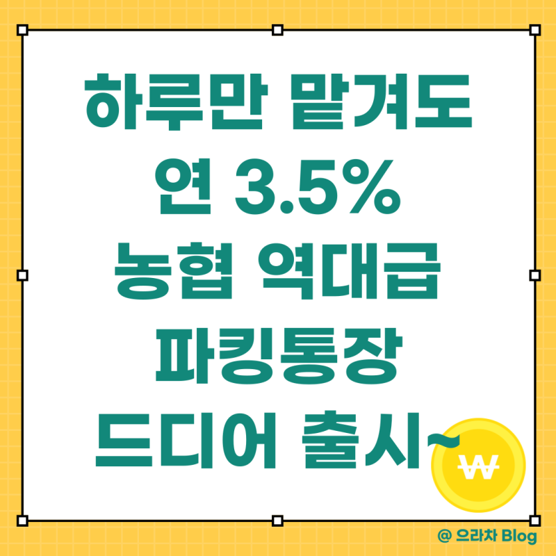 요즘 난리 난 농협파킹통장 금리 최고 3.5%! 서울원예농협 마장동지점 비대면 가입 꿀팁(feat.....