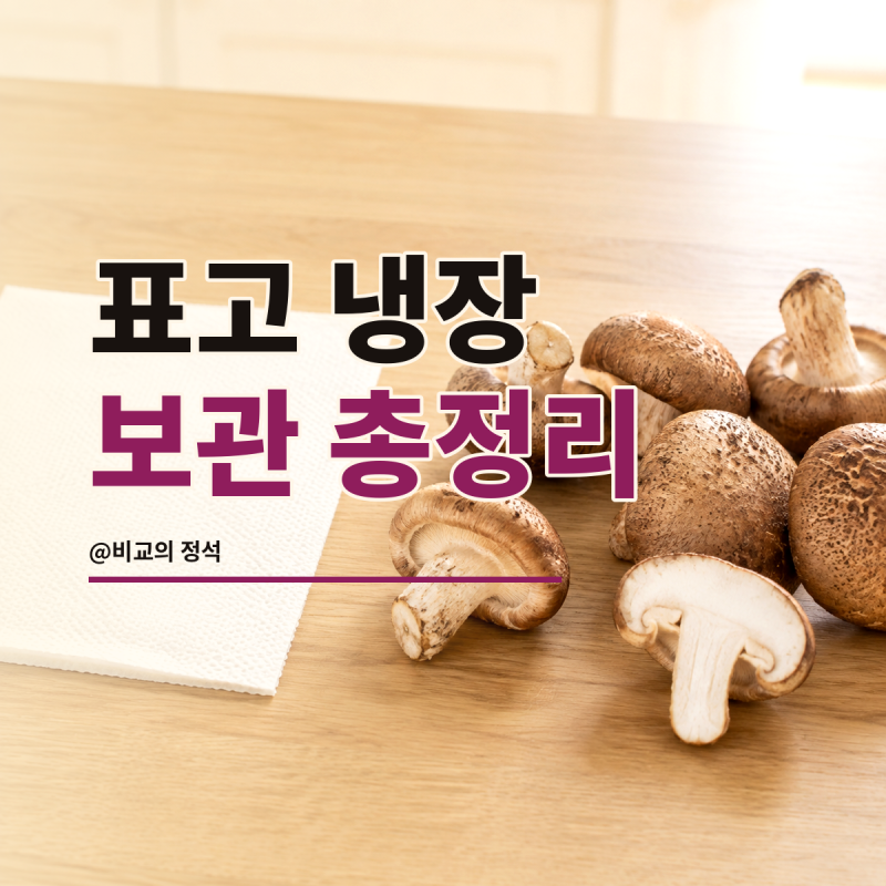 표고버섯 보관법 총정리, 키친타월 깔아 냉장고에 넣는 순서