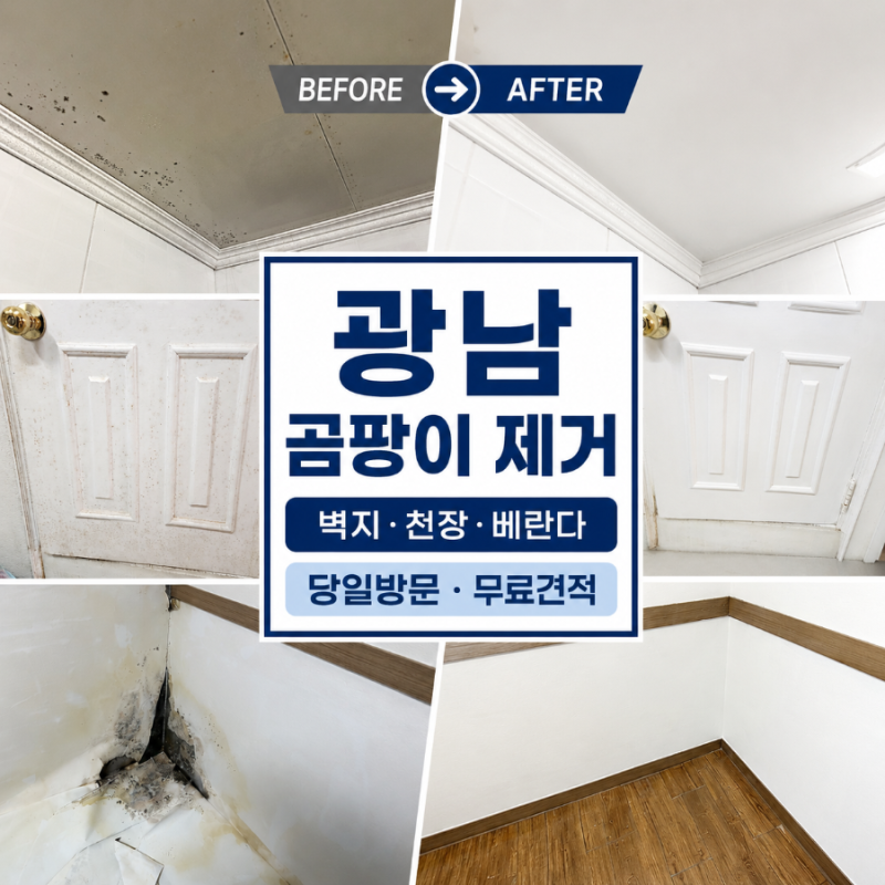 곰팡이제거업체 광남 | 벽지 안쪽까지 번졌을 때 필요한 작업
