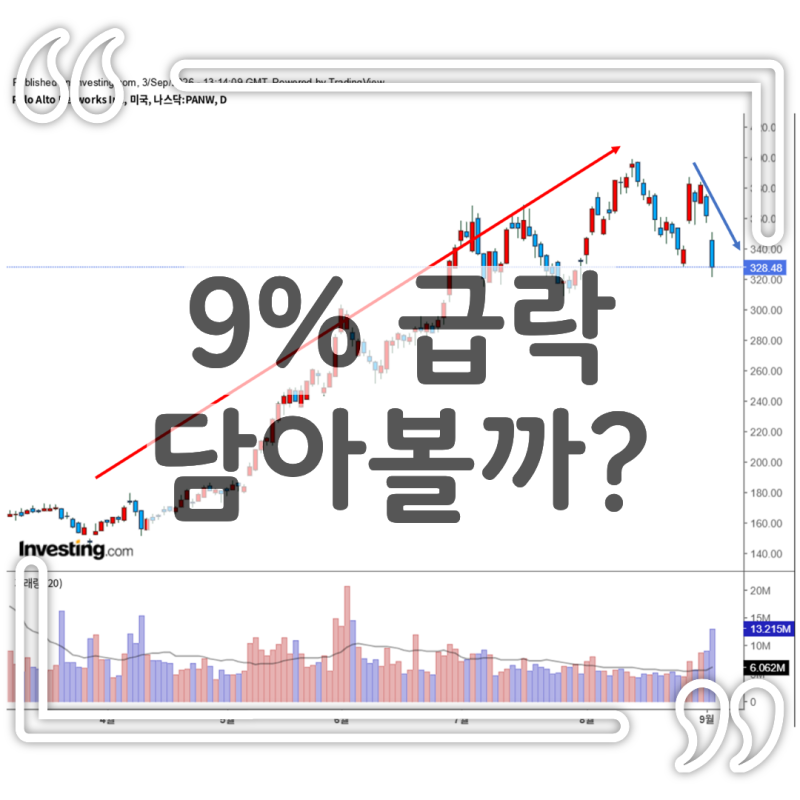 팔로알토 네트웍스 주가 분석 실적 대박에도 9% 급락 1차 분할매수 가이드(10주 주주)
