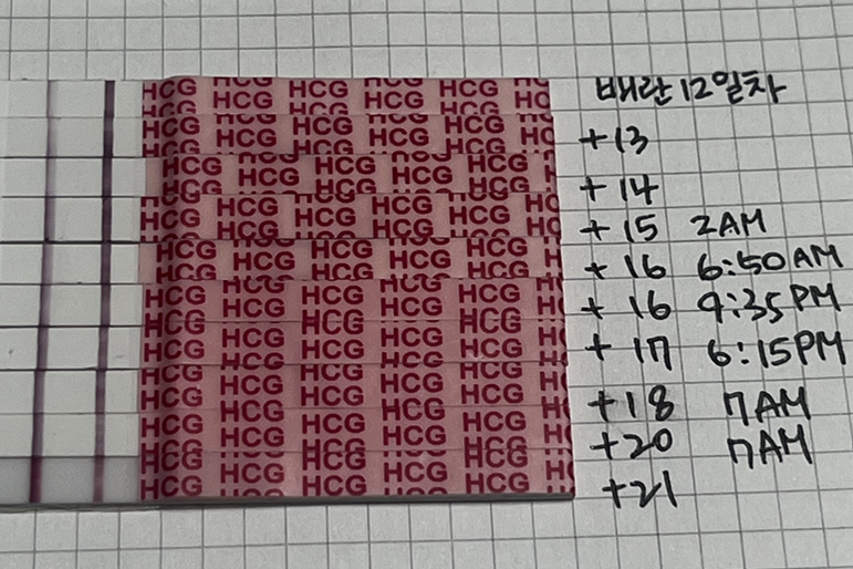 [임신 출산 일기 2편] 8주 계류유산에서 부터 재임신 그리고 출산까지 -2