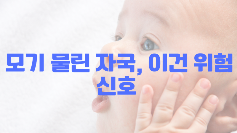 모기 물린 자국 이건 위험신호