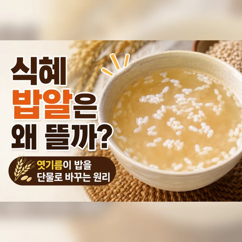 식혜 밥알은 왜 동동 뜰까｜엿기름이 밥을 단물로 바꾸는 원리