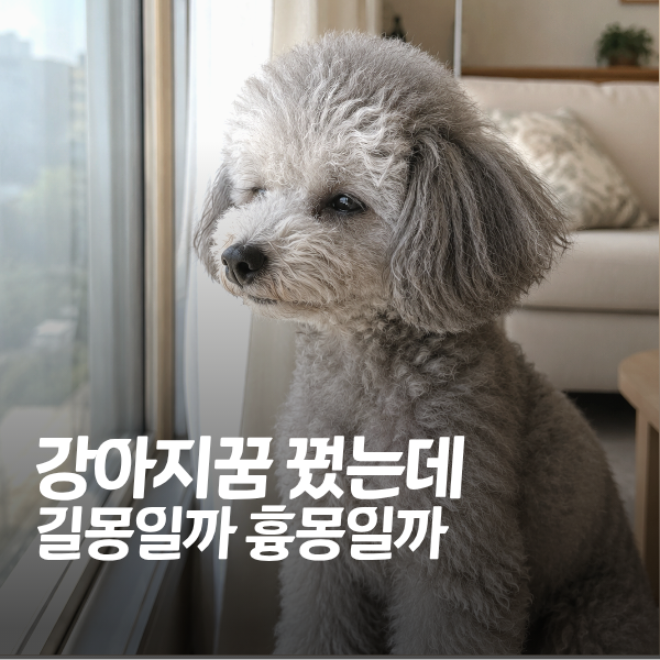 "무지개다리 건넌 강아지 꿈 꿨는데" 상황별 강아지꿈 해몽 알아보기