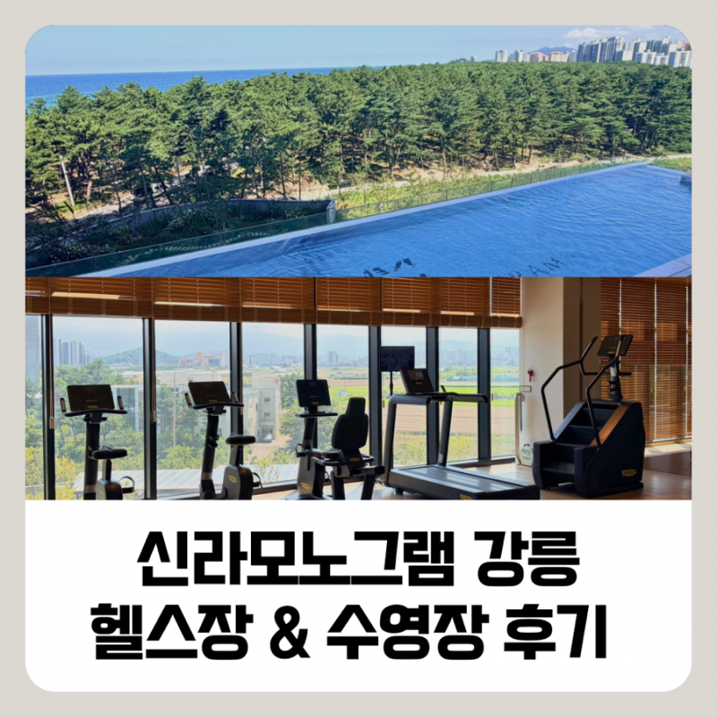 강릉 신라모노그램 수영장 & 헬스장 운영 시간 & 솔직 후기