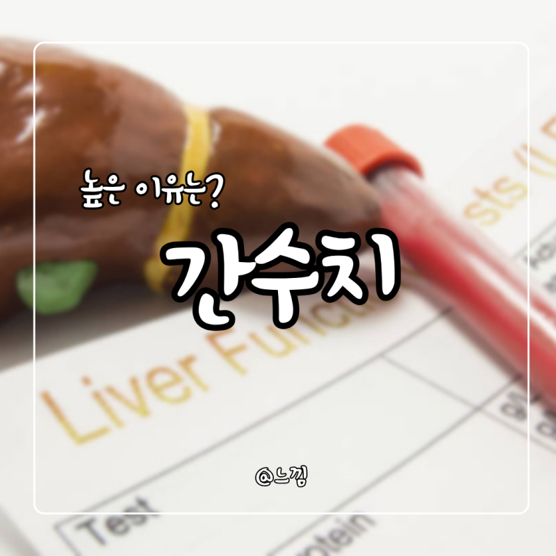 간수치 정상범위 낮추는법 간수치 높은이유 200 300