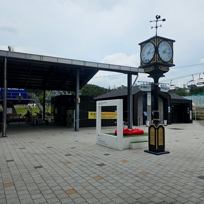 경주 보문단지 가볼만한곳 색다른 놀거리 경주루지월드