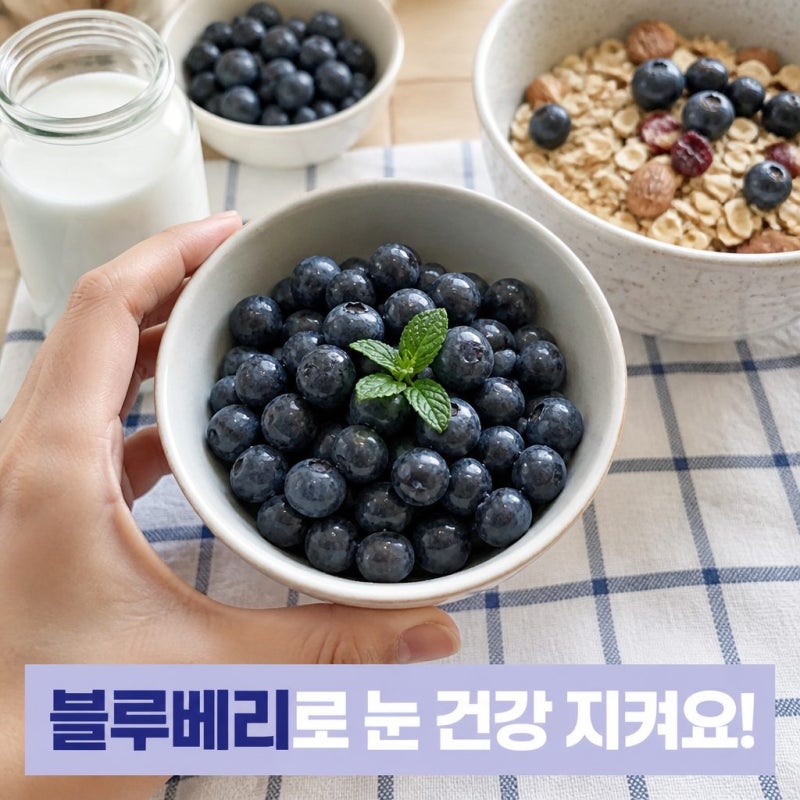블루베리 효능 눈 건강부터 항산화까지 알아보기