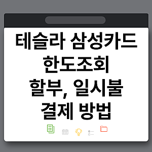 테슬라 삼성카드 한도 확인 방법 다이렉트 오토 할부 결제 직접 해본 후기 총정리