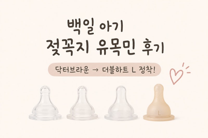 백일 아기 젖꼭지 유목민 후기｜닥터브라운에서 더블하트 L 정착
