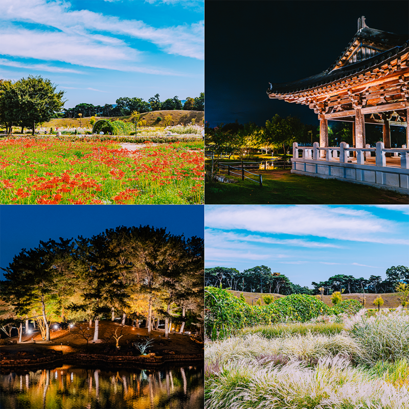 9월 경주 가볼만한곳 가을 2박3일 국내여행 코스 추천