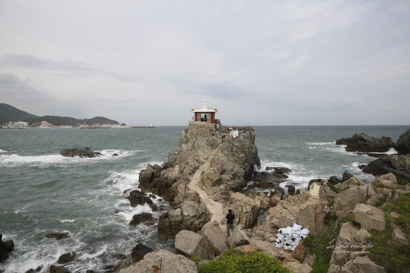 해파랑길 부산 2코스, 해운대에서 달맞이고개 청사포 송정해수욕장 해동용궁사 오랑대 기장....