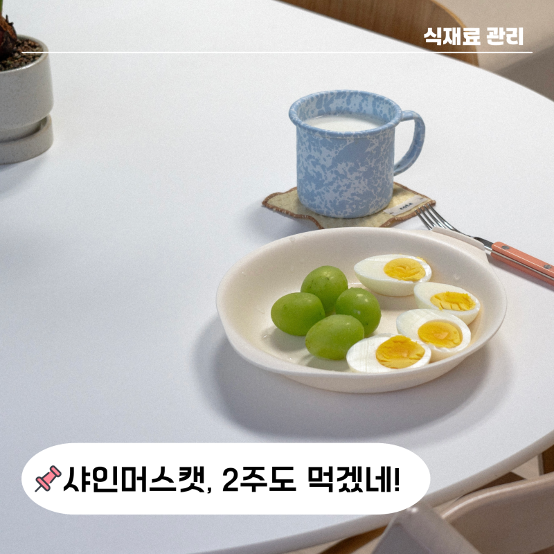 "2주도 먹어?" 샤인머스켓 보관법 키친타월 2장으로 물러짐 줄이는 살림 팁