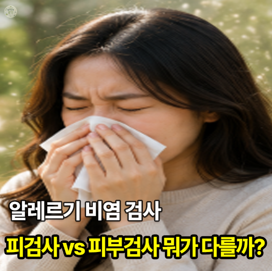 알레르기 비염 검사·종류·비용·결과 해석, 감기처럼 반복되면 확인하세요