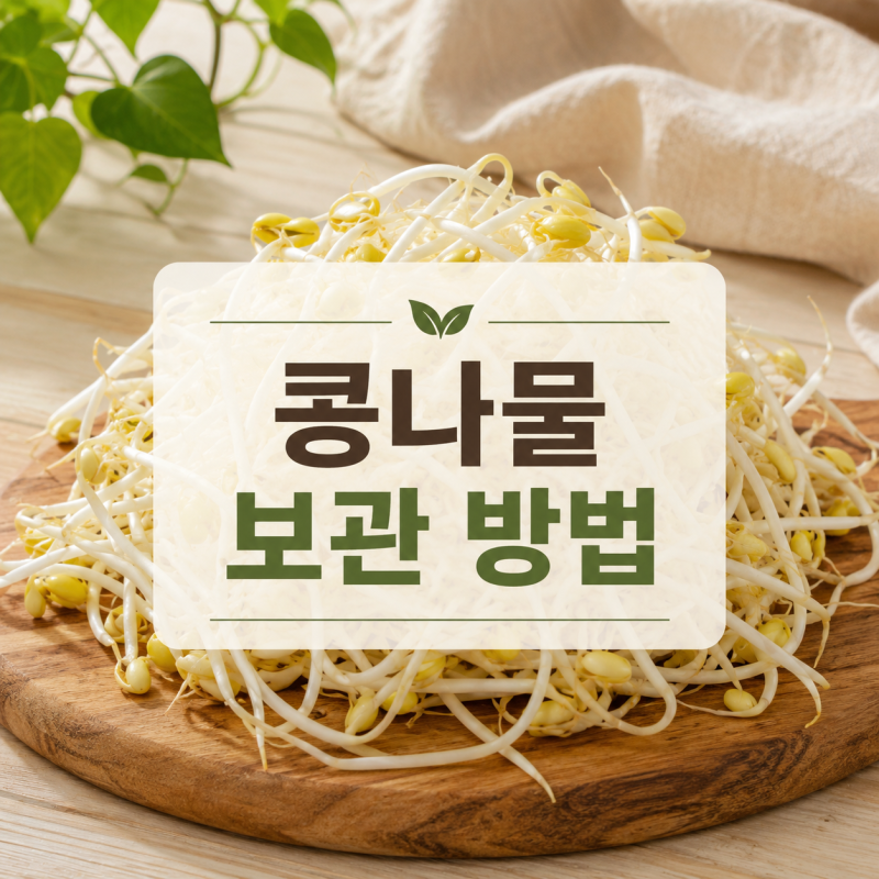 콩나물 보관방법 4가지｜물에 담가 냉장·냉동하는 법과 보관기간