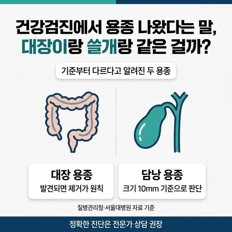건강검진에서 용종 나왔다는 말, 대장이랑 쓸개랑 같은 걸까?