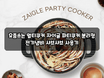 요즘쓰는 멀티쿠커 자이글 파티쿠커 분리형 전기냄비 샤브샤브 사용기
